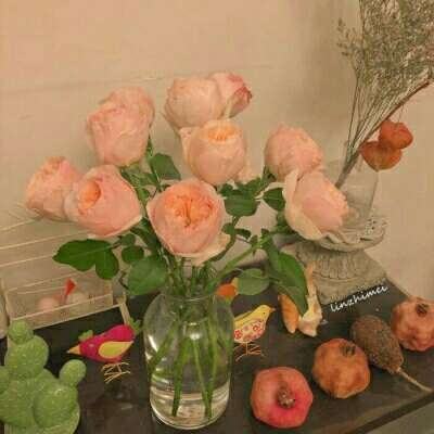 江南app下载手机版